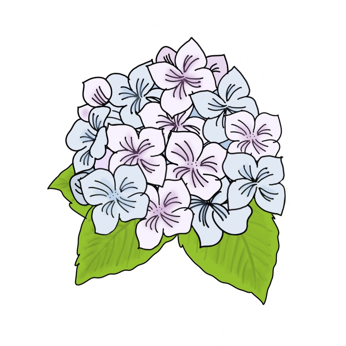 Hydrangea Cookie Cutter - Periwinkles Cutters