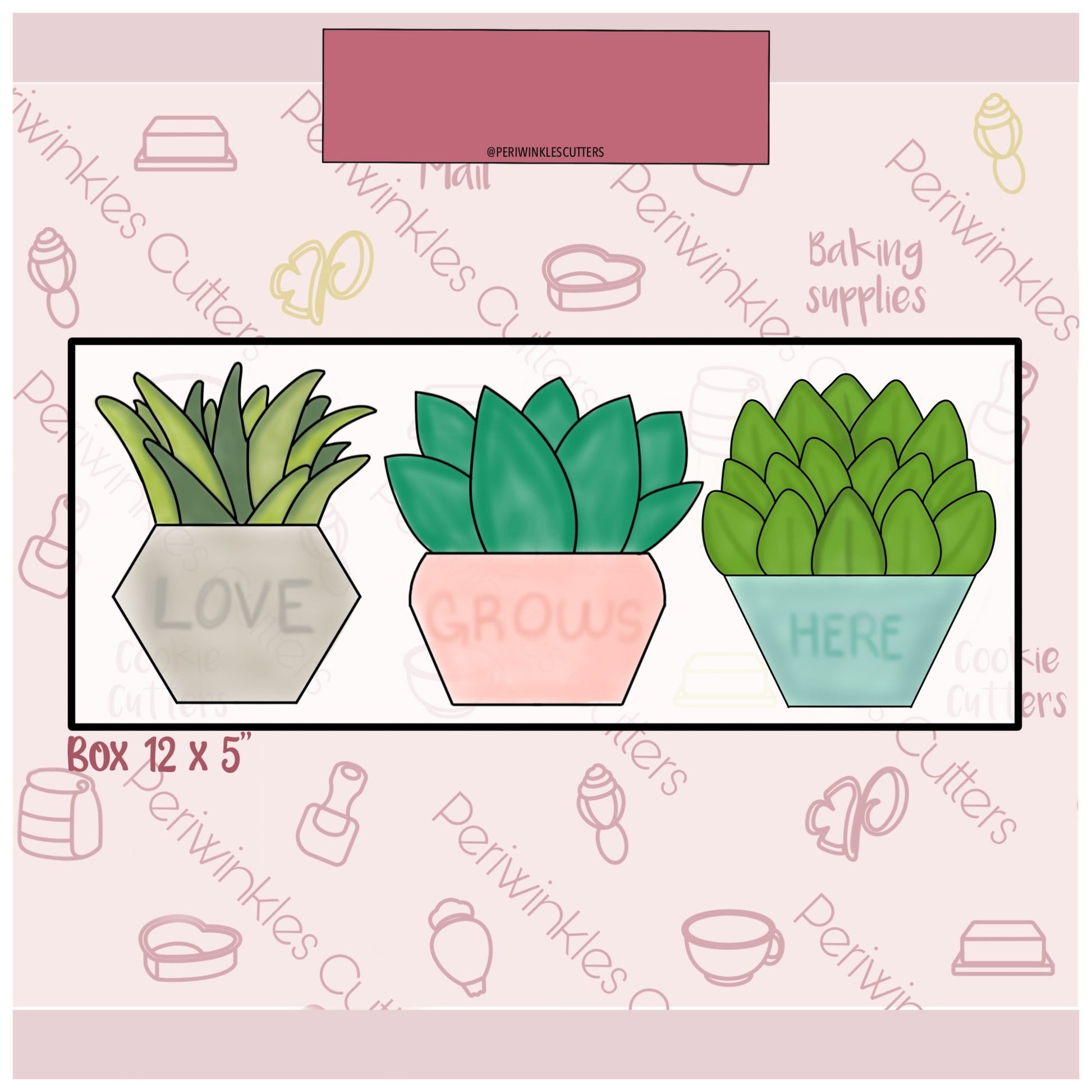succulent cookie cutter Succulent Pots Set of 3 Cookie Cutter